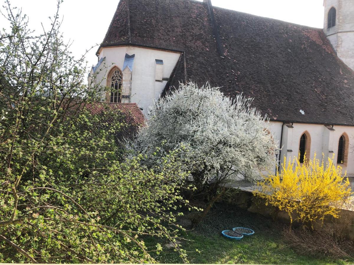 Altstadt-Apartments Bad Radkersburg - Ihr Zuhause Auf Reisen Zewnętrze zdjęcie